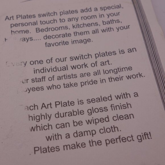 Art Plates Switchplate Single-Gang Switch Plate feat Edvard Munch's The Scream - Picture 10 of 16